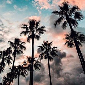 Meet your Posher, Beverly